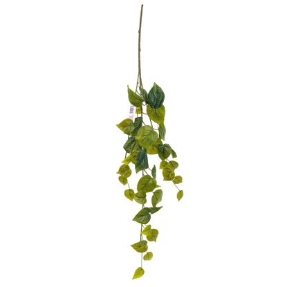 Picture of 65cm POTHOS LEAF TRAIL GREEN