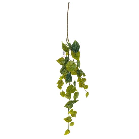 Picture of 65cm POTHOS LEAF TRAIL GREEN