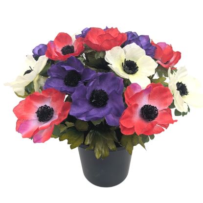 Picture of CEMETERY POT WITH ANEMONES PURPLE/RED/WHITE