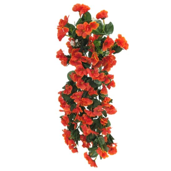 Picture of 56cm NASTURTIUM TRAILING BUSHORANGE