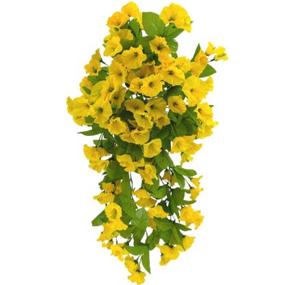 Picture of 50cm MORNING GLORY TRAILING BUSH YELLOW