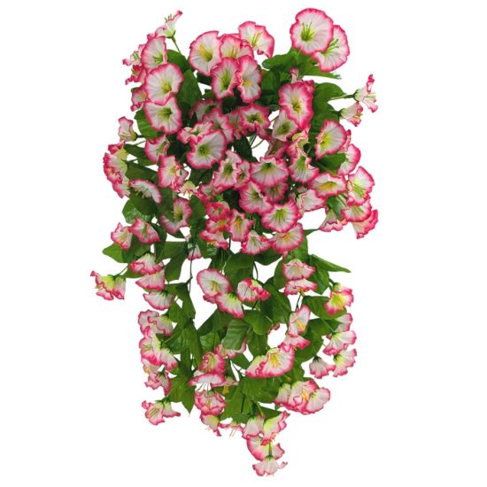 Picture of 50cm MORNING GLORY TRAILING BUSH FUCHSIA/WHITE