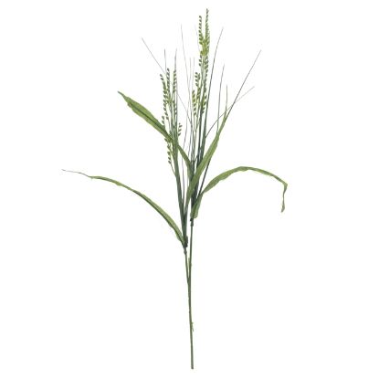 Picture of 60cm WHEAT GRASS SPRAY GREEN X 120pcs
