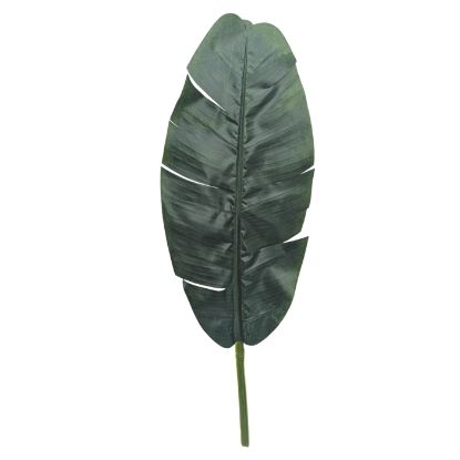Picture of 78cm LARGE SINGLE BANANA LEAF GREEN X 12pcs