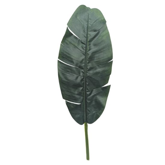 Picture of 78cm LARGE SINGLE BANANA LEAF GREEN X 12pcs