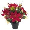 Picture of POINSETTIA/HOLLY AND PINE CEMETERY POT RED X 12pcs