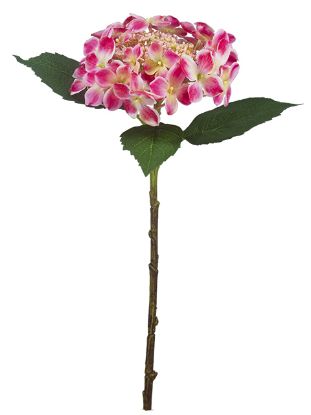 Picture of 44cm PREMIUM BUDDING HYDRANGEA PINK/WHITE