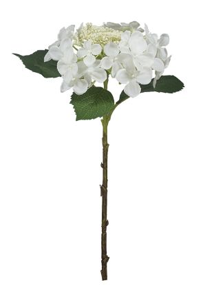 Picture of 44cm PREMIUM BUDDING HYDRANGEA WHITE