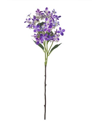 Picture of 62cm WILD HYDRANGEA SPRAY PURPLE