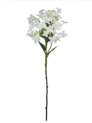 Picture of 62cm WILD HYDRANGEA SPRAY WHITE