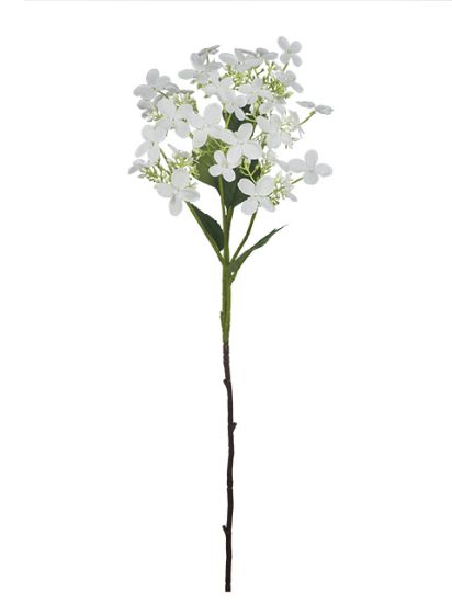 Picture of 62cm WILD HYDRANGEA SPRAY WHITE
