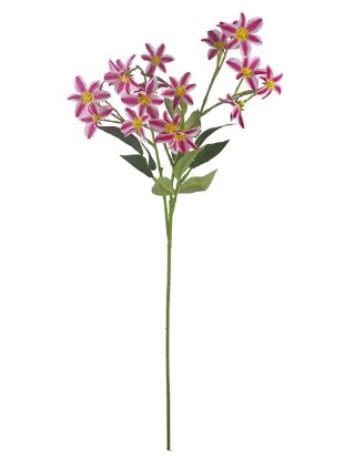 Picture of 72cm MINI CLEMATIS SPRAY FUCHSIA/WHITE