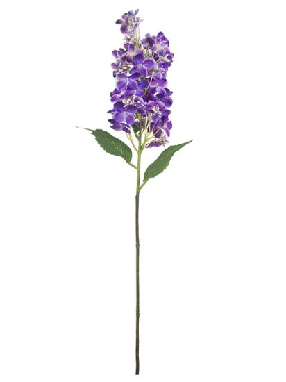 Picture of 80cm XL PANICLE HYDRANGEA PURPLE