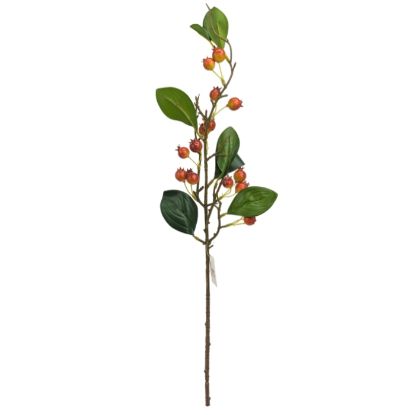 Picture of 65cm HYPERICUM BERRY SPRAY GREEN/RED