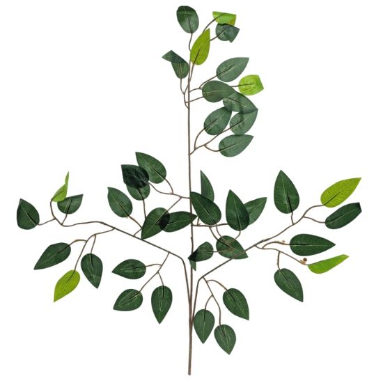 Picture of 60cm FICUS BRANCH GREEN X 12pcs