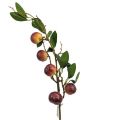 Picture for category Fruit